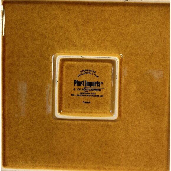 Pier 1 Imports Spice Route Ginger Square Beaded Stoneware 2-Dinner Plates 10.5" - Picture 10 of 10